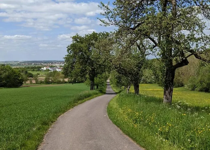 아파트 Molly 뉴시츠